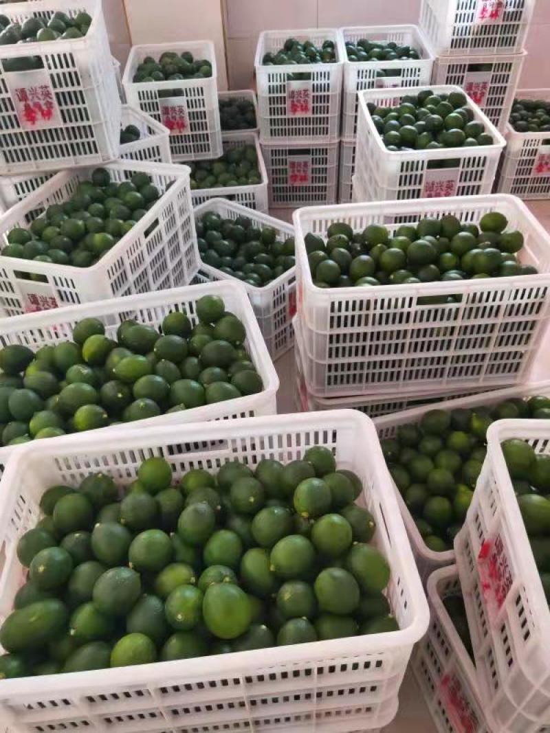 万州青柠檬