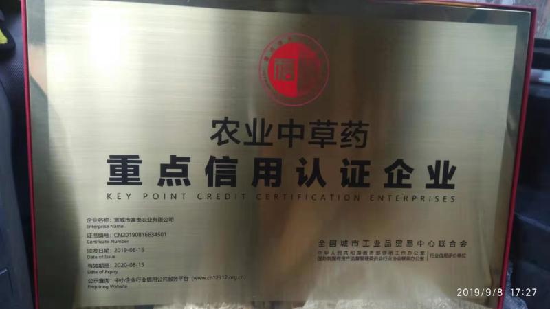 《金乌富贵1号》万亩基地，基地直供，育苗优质高产量何首乌