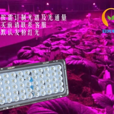 农业大棚专用50W植物生长补光灯户外防水补光灯