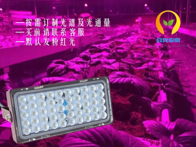 农业大棚专用50W植物生长补光灯户外防水补光灯