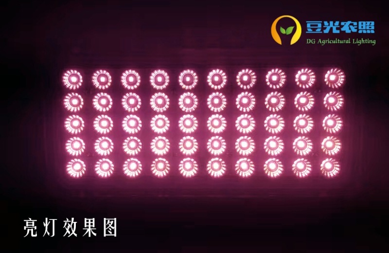 农业大棚专用50W植物生长补光灯户外防水补光灯