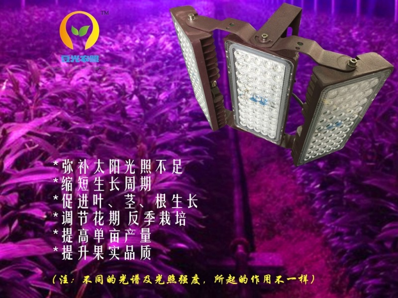 农业大棚专用50W植物生长补光灯户外防水补光灯