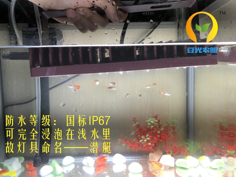 农业大棚专用50W植物生长补光灯户外防水补光灯