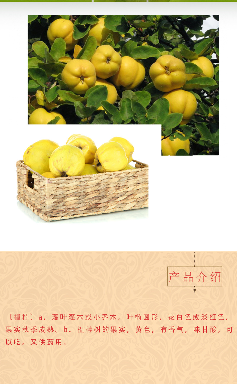 2019年新鲜榲桲3斤新疆特色温桲水果之皇万寿瓜榅桲新疆木瓜