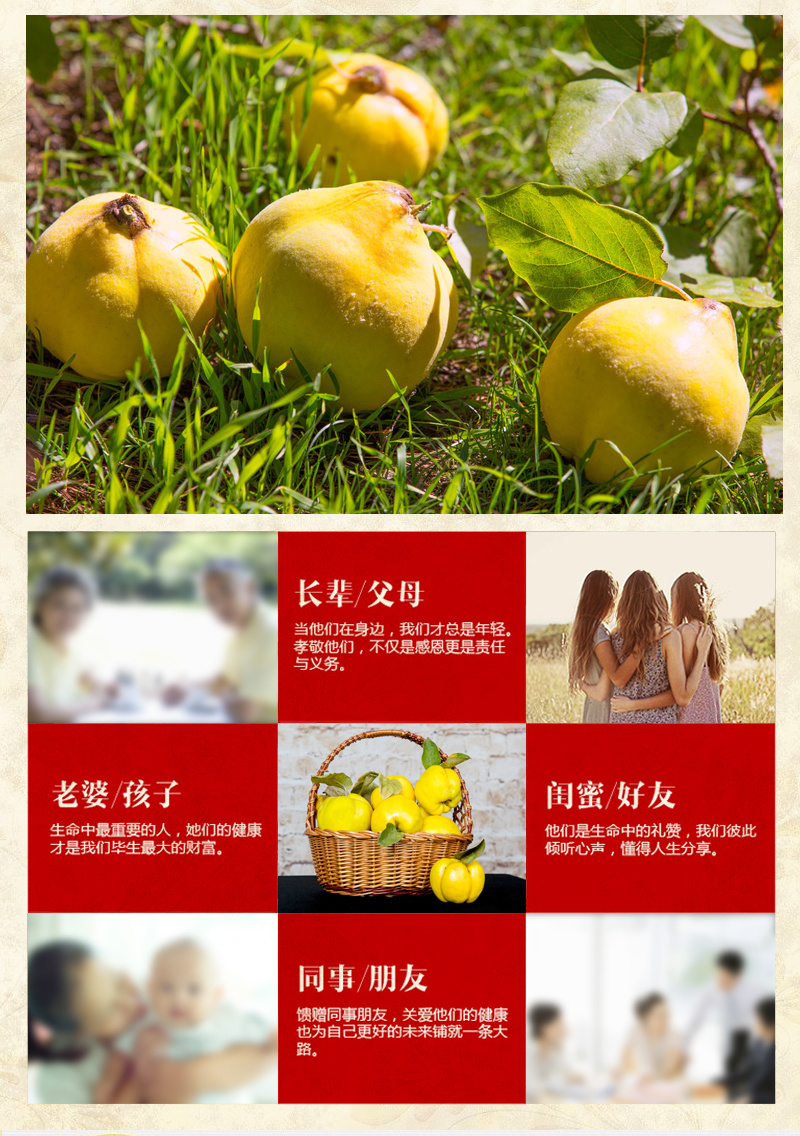 2019年新鲜榲桲3斤新疆特色温桲水果之皇万寿瓜榅桲新疆木瓜