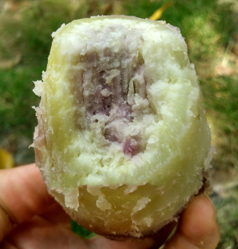 冰淇淋番薯花心薯紫心番薯一点红番薯粉糯甜新鲜地瓜5斤