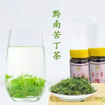 苦丁茶60g包邮