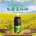 黔津道纯香菜籽油1.8L包邮