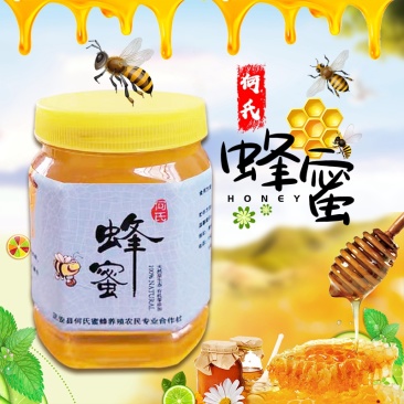何氏蜂蜜500g包邮