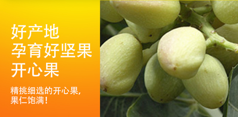 新货原味连罐装开心果500g本色无漂白散装孕妇坚果干果