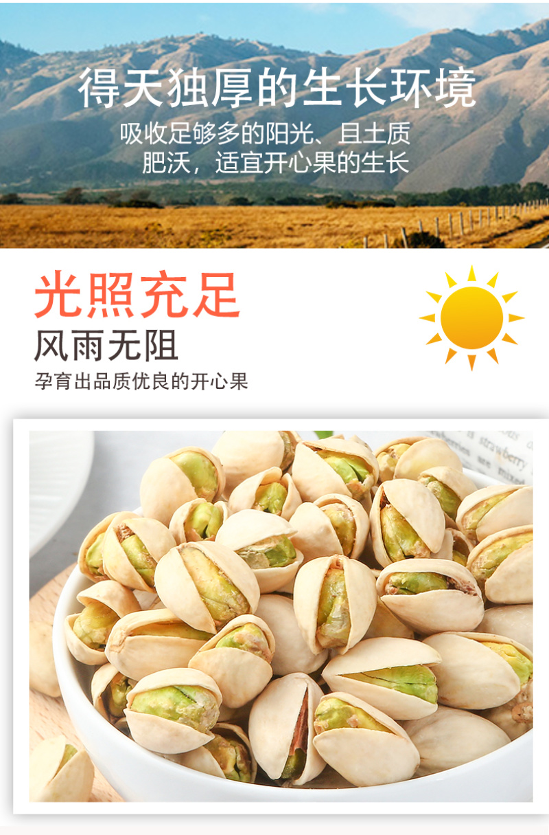 新货原味连罐装开心果500g本色无漂白散装孕妇坚果干果