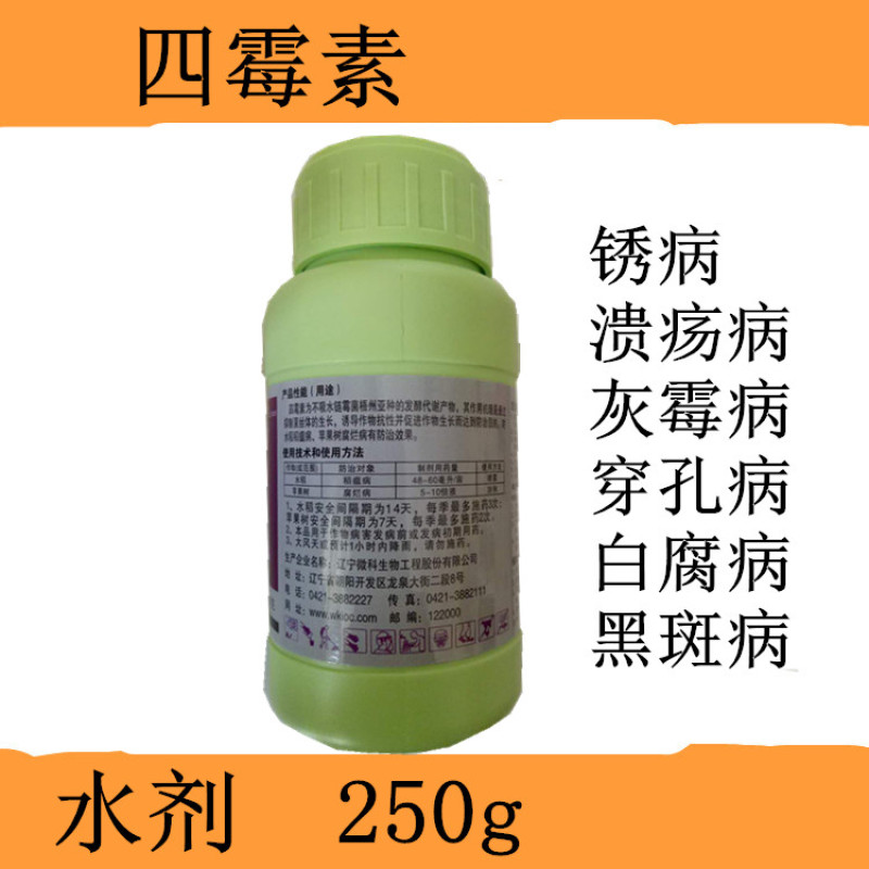 四霉素猕猴桃溃疡芒果角斑番茄溃疡真细菌病害防治