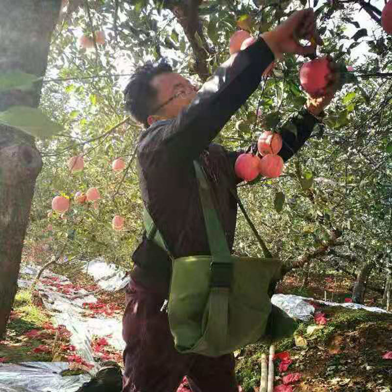 苹果采摘包水果采摘专用篮水果采摘筐水果采摘神器果园采摘水果篮