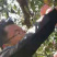苹果采摘包水果采摘专用篮水果采摘筐水果采摘神器果园采摘水果篮