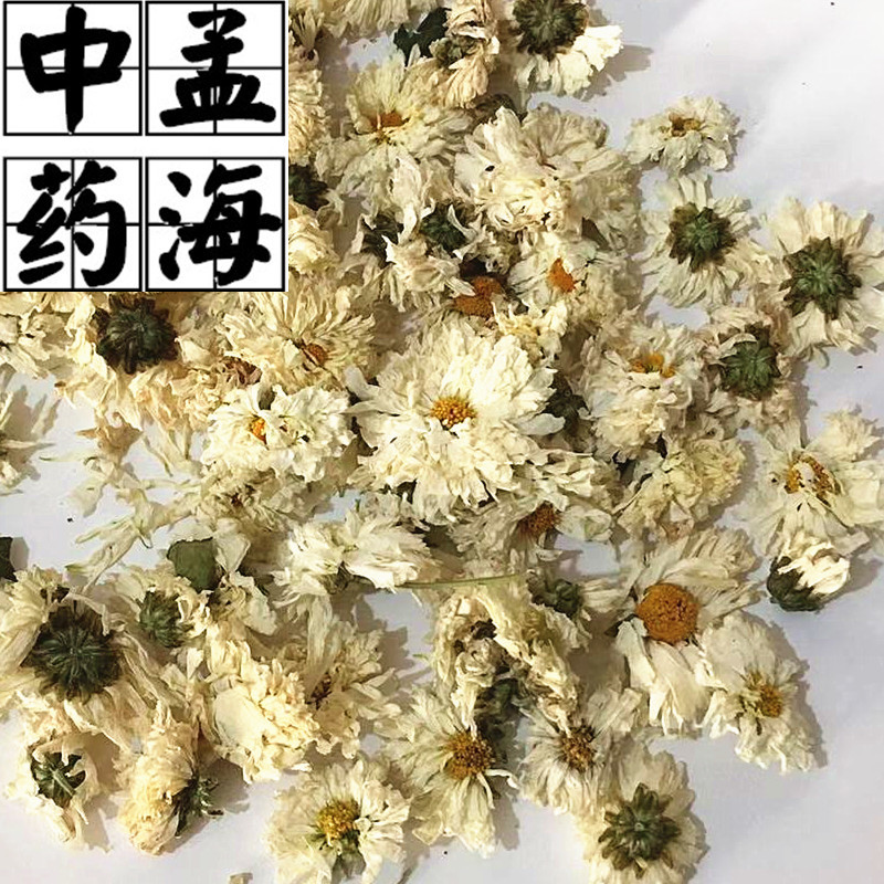 太阳花菊花