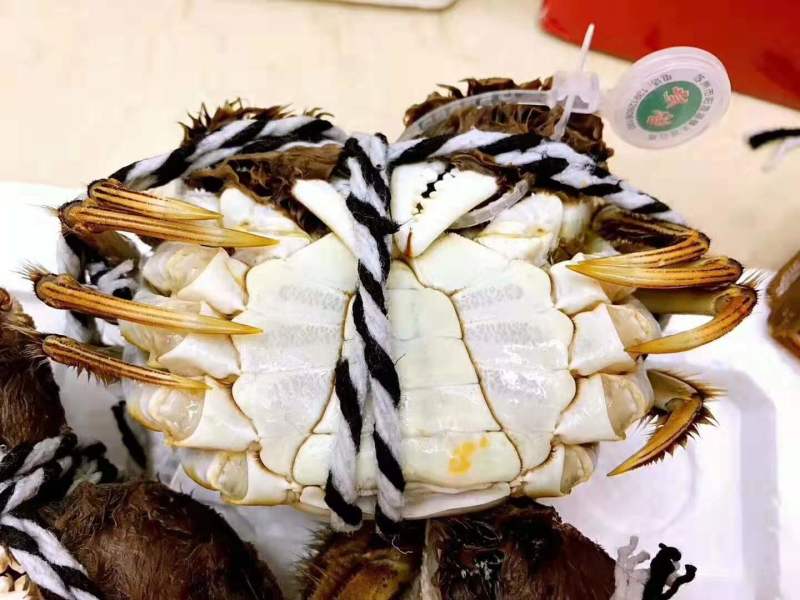珍浩大闸蟹大闸蟹阳澄湖大闸蟹苏州大闸蟹