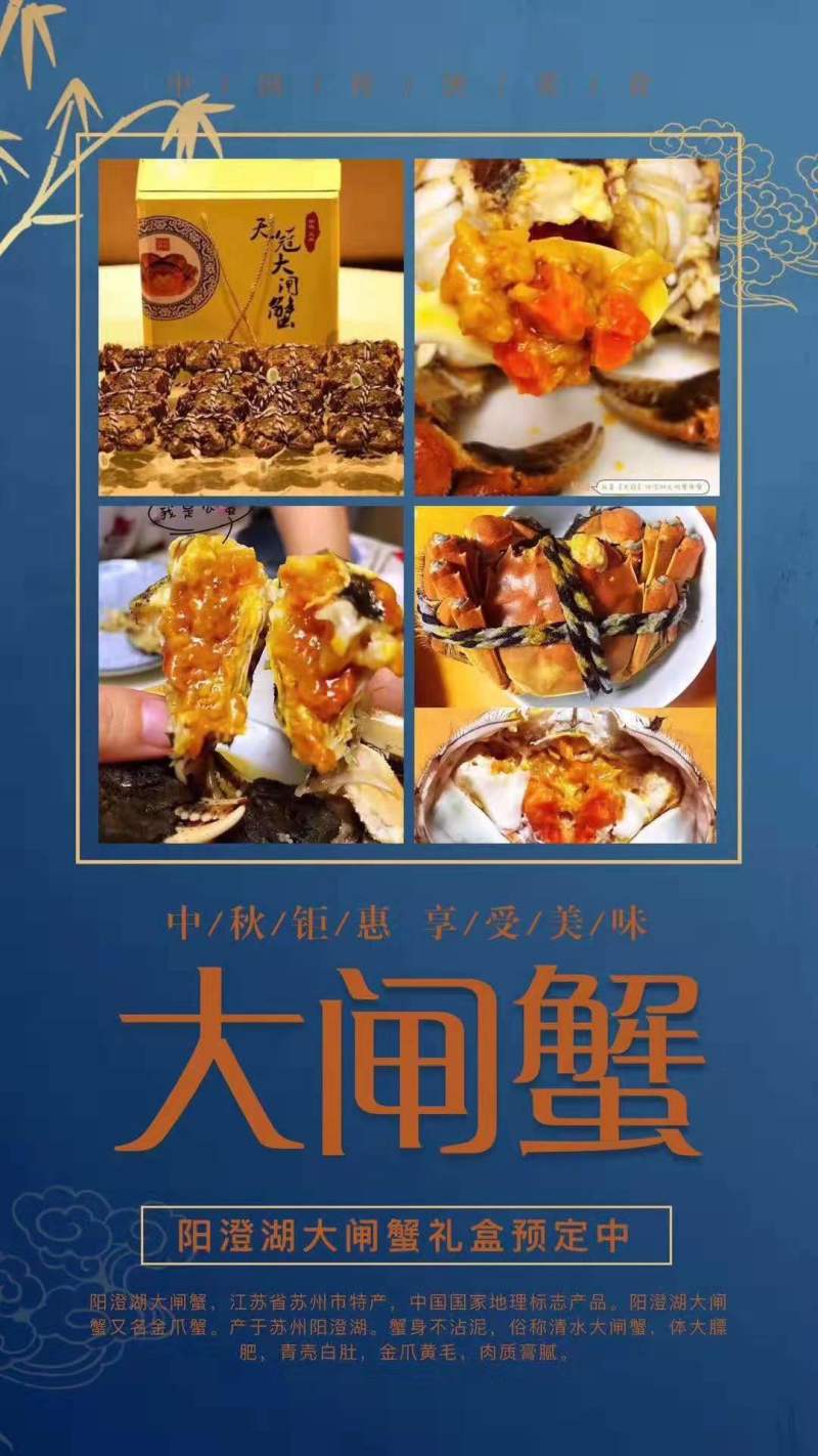 珍浩大闸蟹大闸蟹阳澄湖大闸蟹苏州大闸蟹