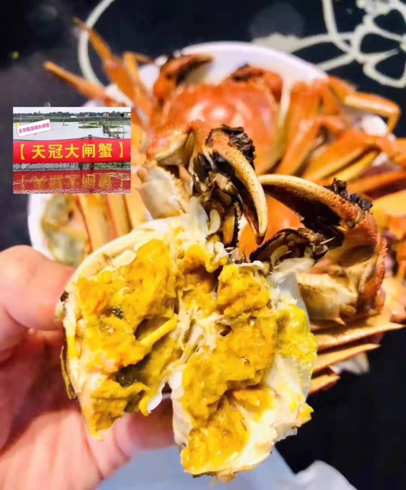 珍浩大闸蟹大闸蟹阳澄湖大闸蟹苏州大闸蟹