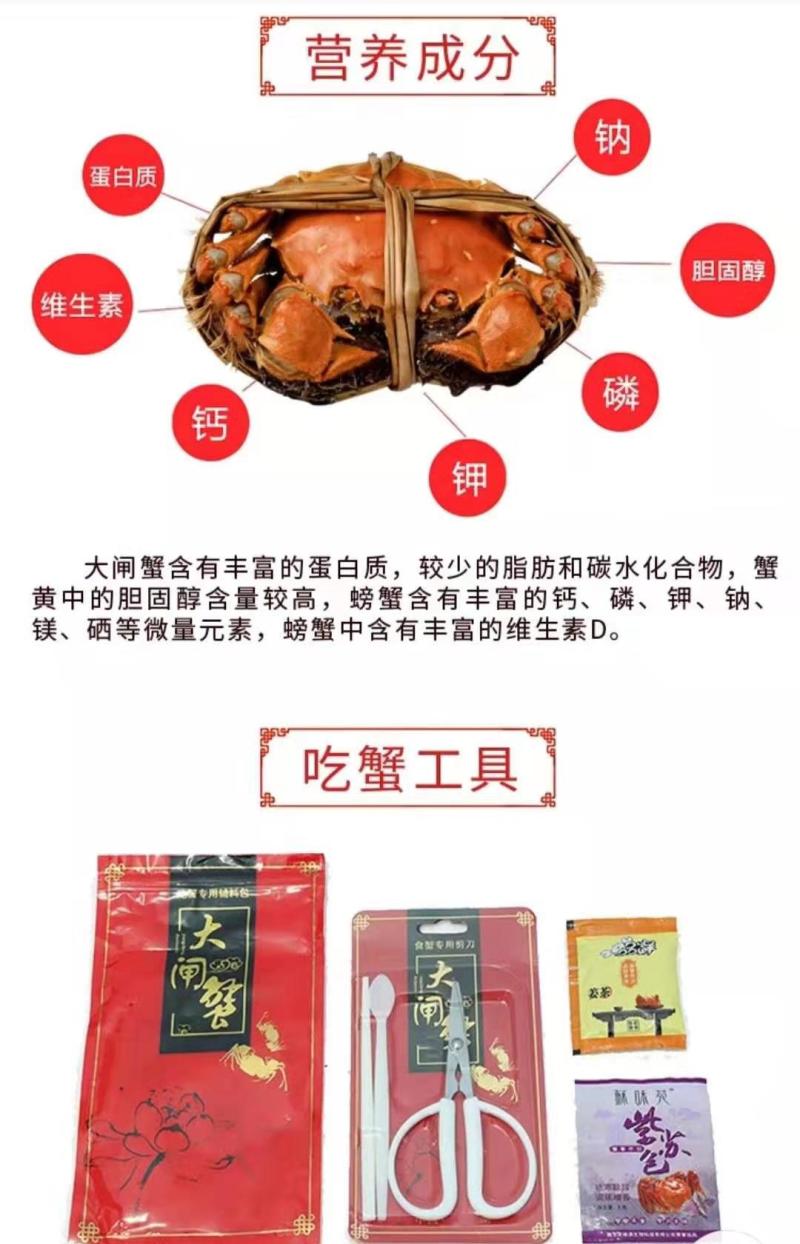 珍浩大闸蟹大闸蟹阳澄湖大闸蟹苏州大闸蟹