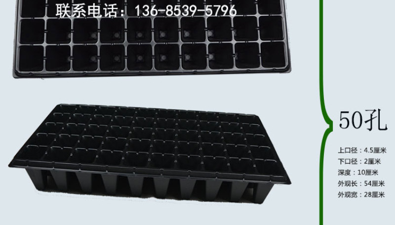 加厚草莓育苗专用穴盘32孔/50孔深盘高脚盘林木育苗盘包邮