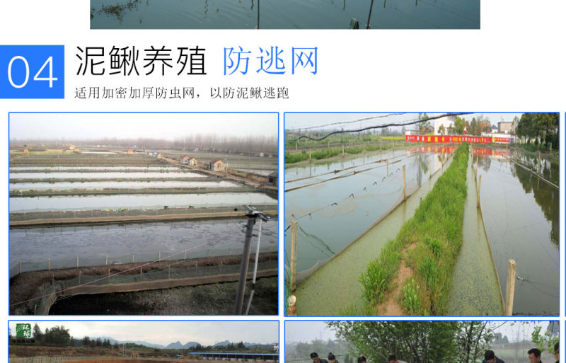 60目特厚尼龙防虫网水蛭养殖围网养蛇专用防逃网