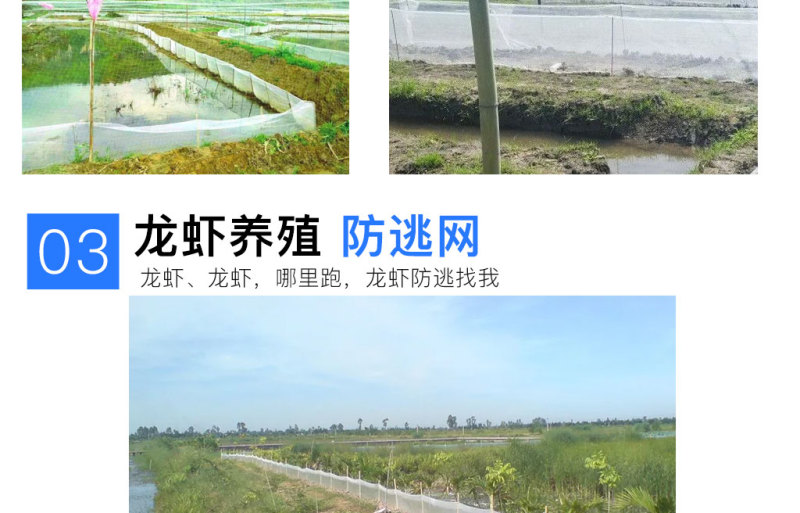 青蛙养殖围网青蛙养殖食台网青蛙养殖防逃网40目超厚