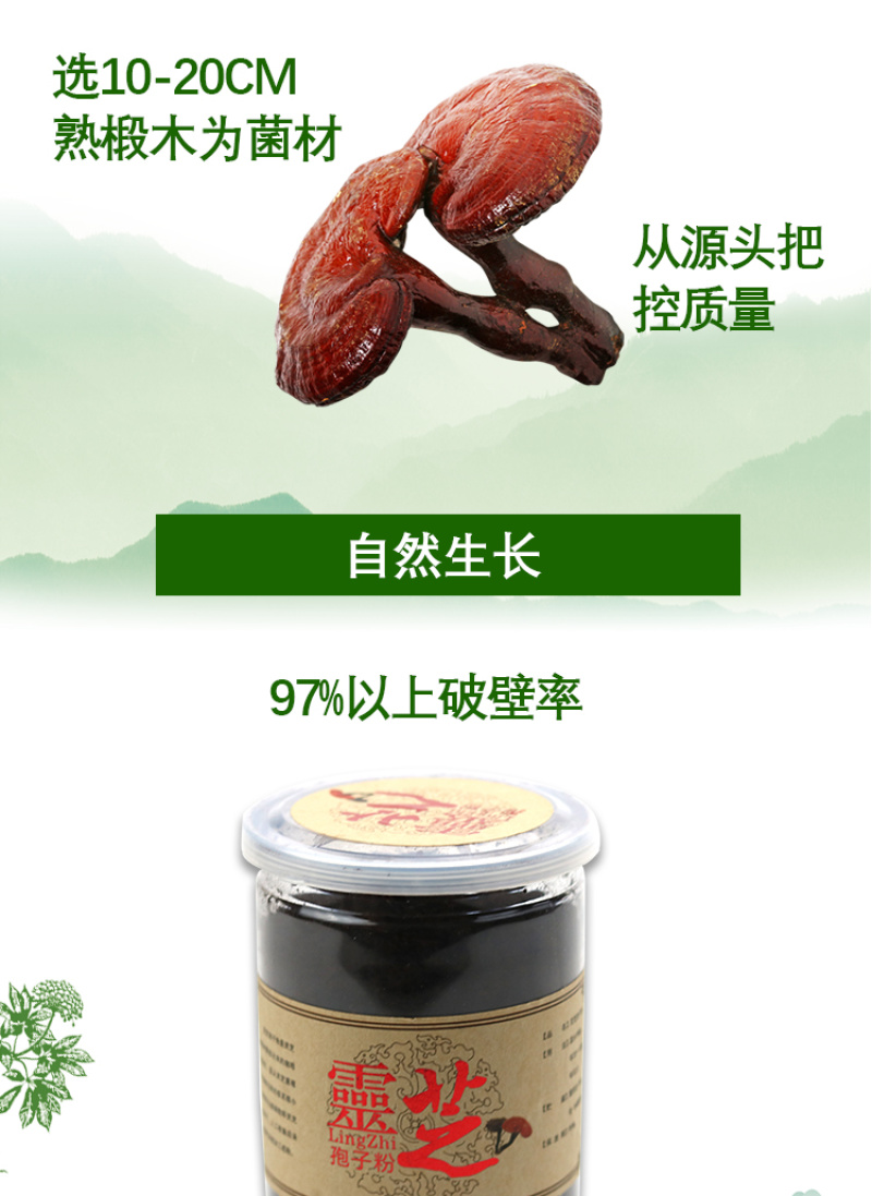 长白山灵芝孢子粉
