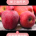 甘肃天水花牛苹果水果带箱10斤新鲜当季