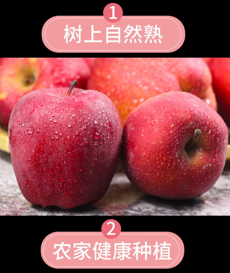 甘肃天水花牛苹果水果带箱10斤新鲜当季