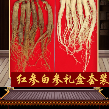 人参红白礼盒