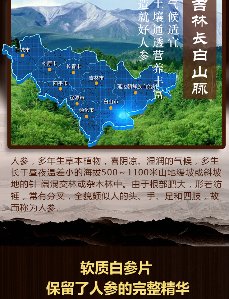 白参片