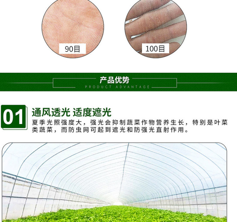 80目加厚加密防虫网水蛭泥鳅养殖网蔬菜大棚防虫网
