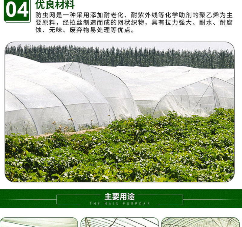 80目加厚加密防虫网水蛭泥鳅养殖网蔬菜大棚防虫网