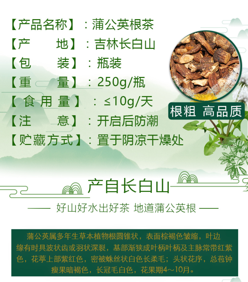 蒲公英根茶
