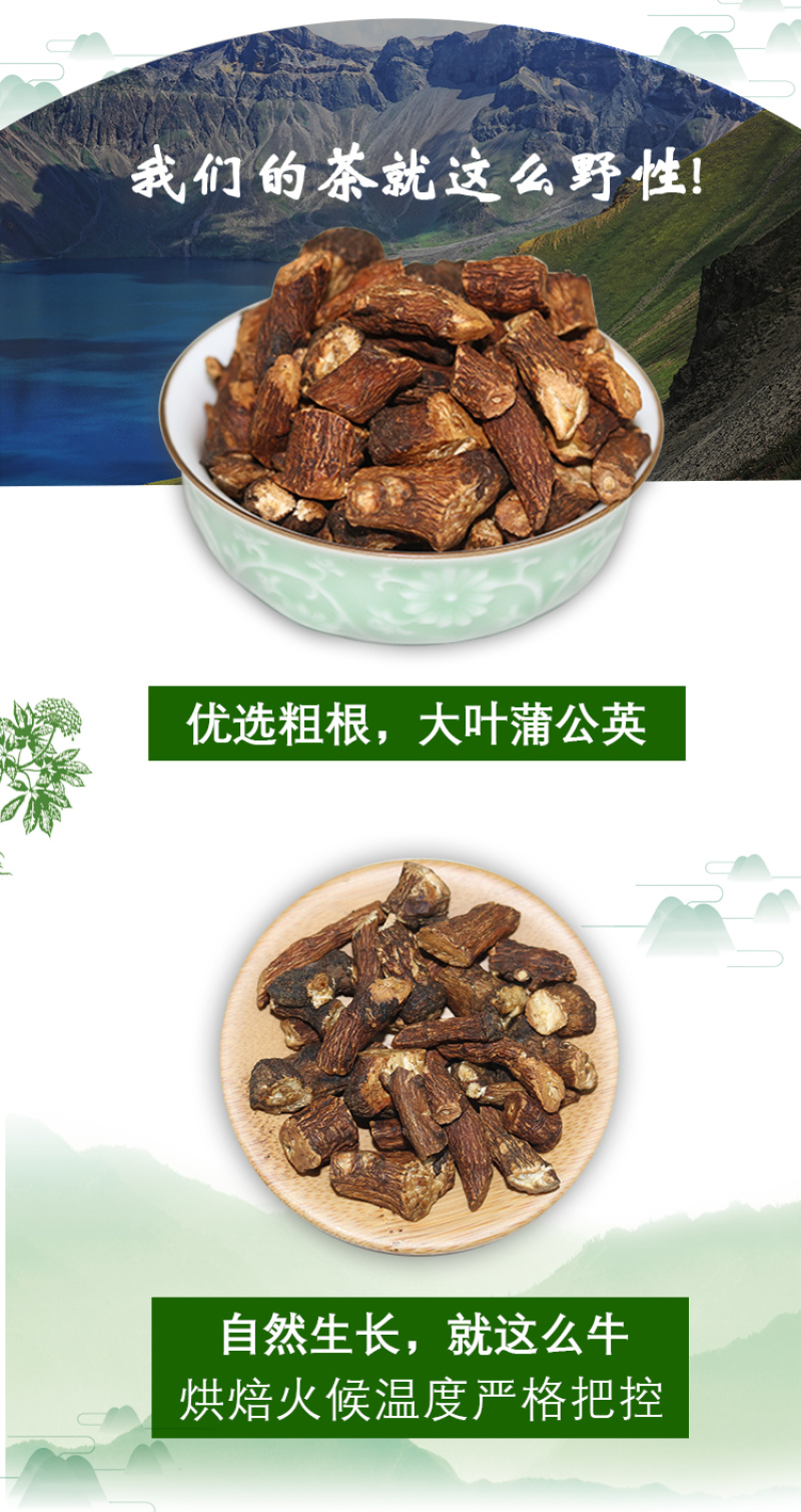 蒲公英根茶