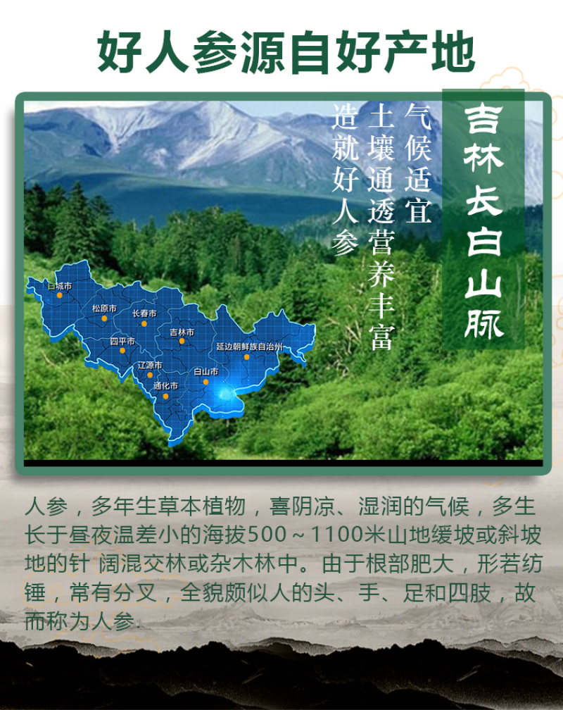 林下参双支礼盒