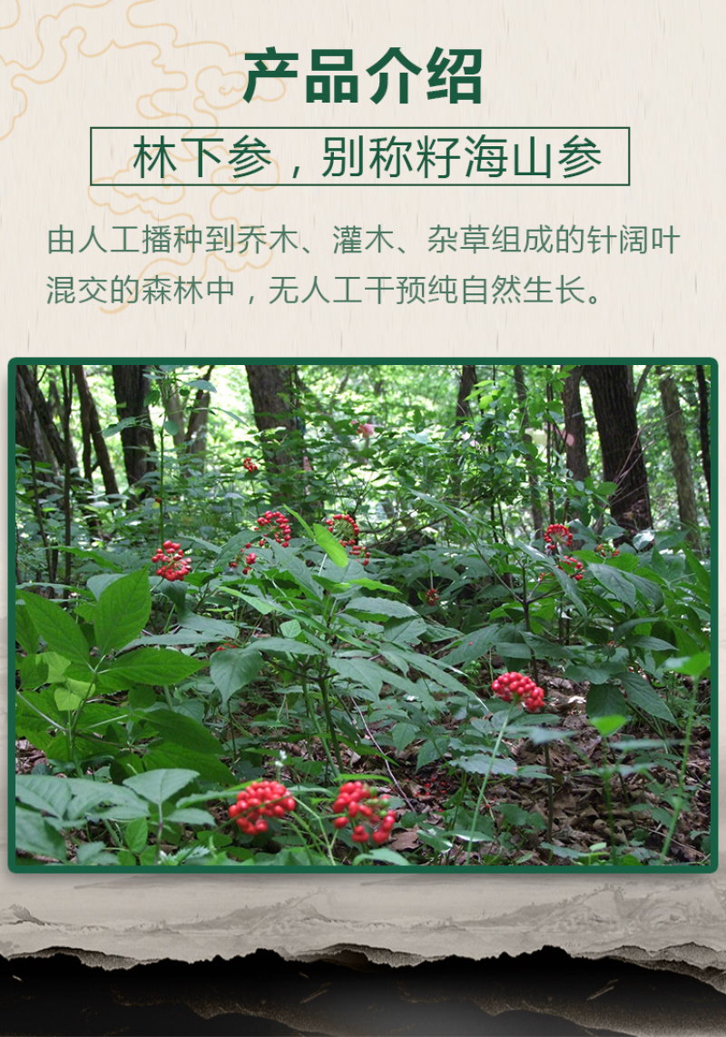 林下参双支礼盒