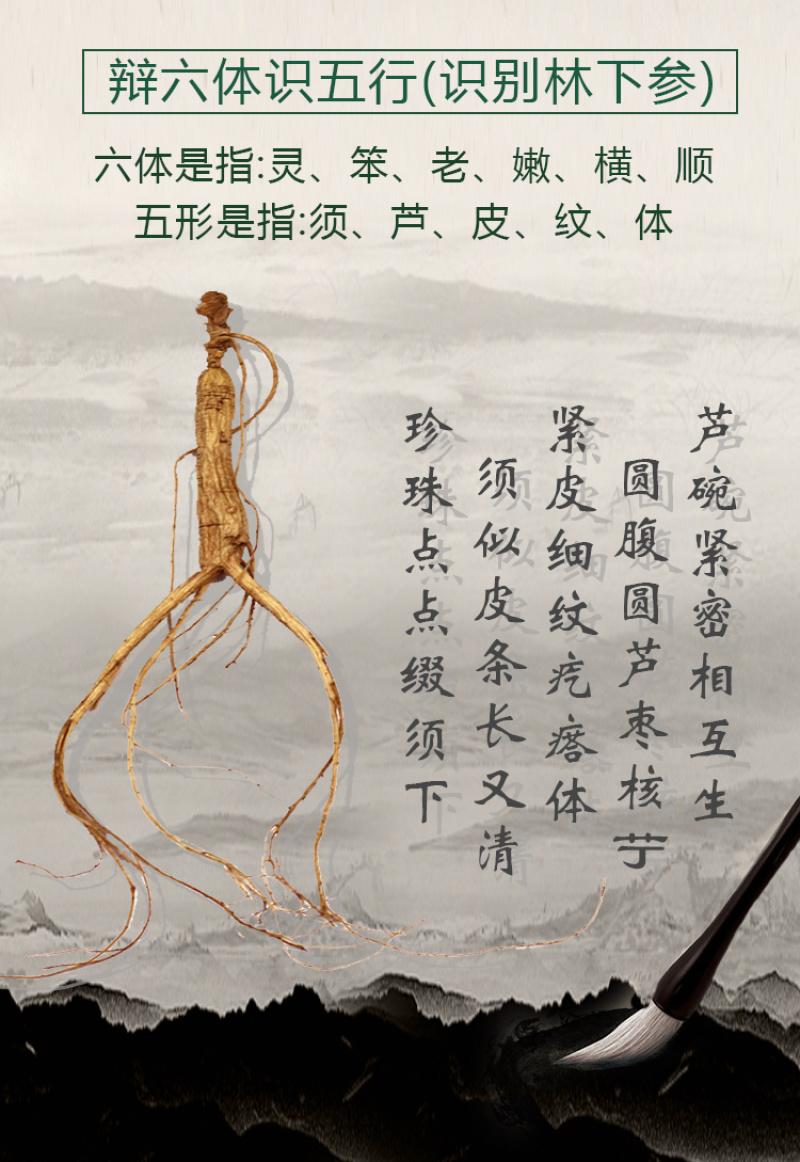 林下参双支礼盒