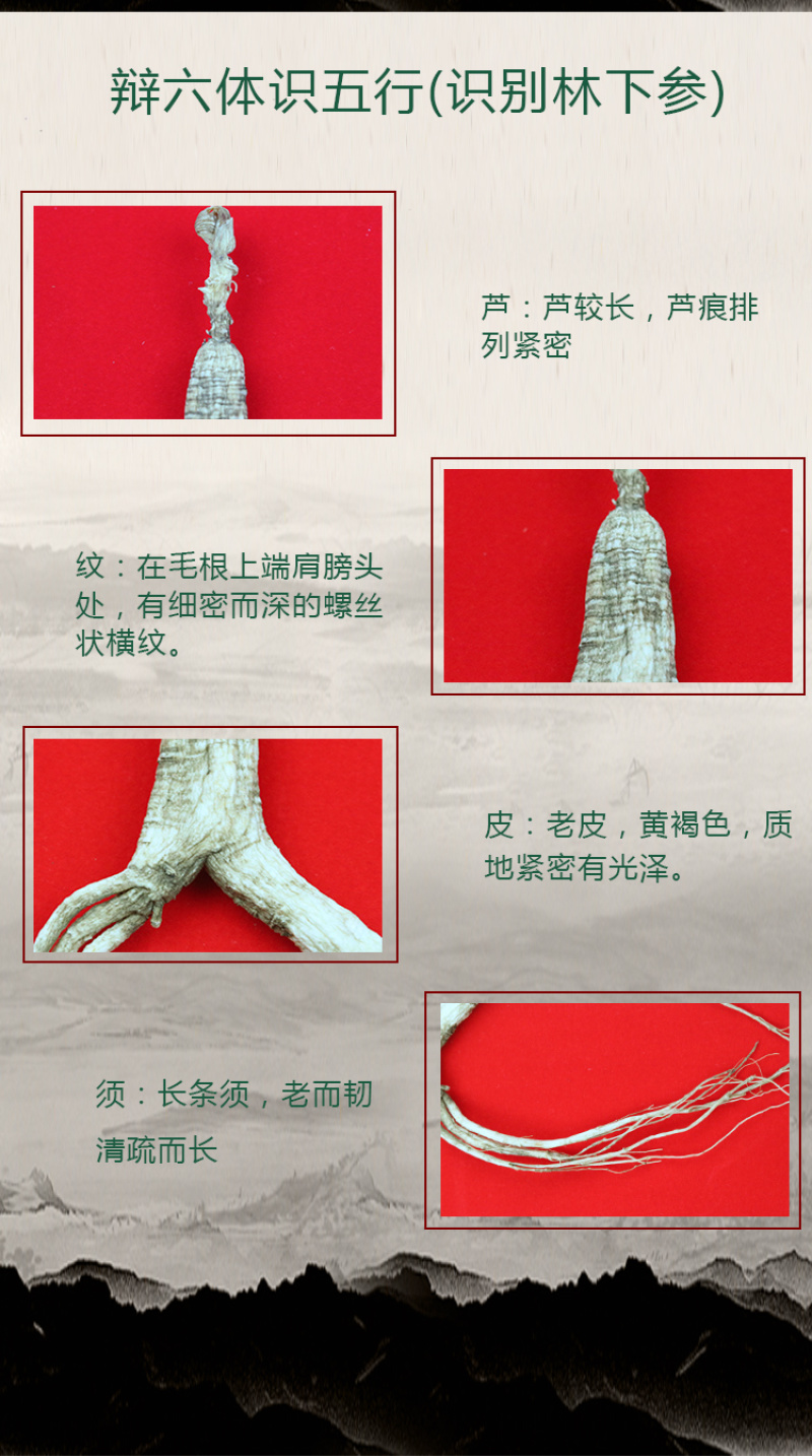 林下参双支礼盒