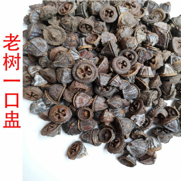 一口盅金钟菩提一口盅批发中药材一口盅冷背药材一口钟