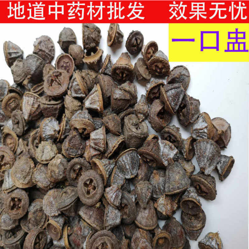 一口盅金钟菩提一口盅批发中药材一口盅冷背药材一口钟