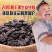 新疆黑葡萄吐鲁番无籽黑黑的紫葡萄干