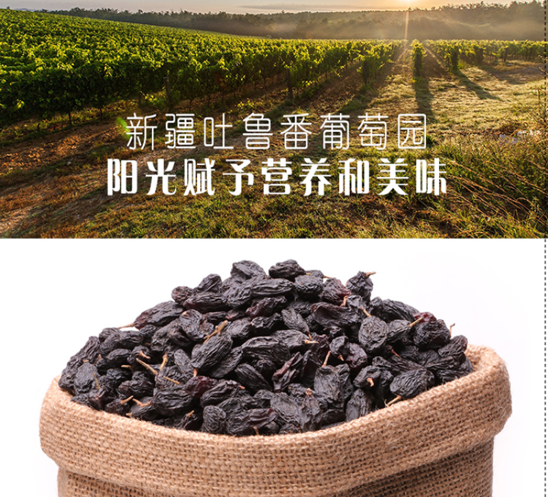 新疆黑葡萄吐鲁番无籽黑黑的紫葡萄干
