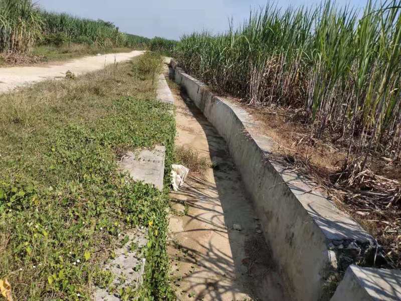柳城县太平镇4600亩旱地出租