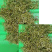 重庆市秀山隘口高山金银花干花双花新货包邮鲜货新品