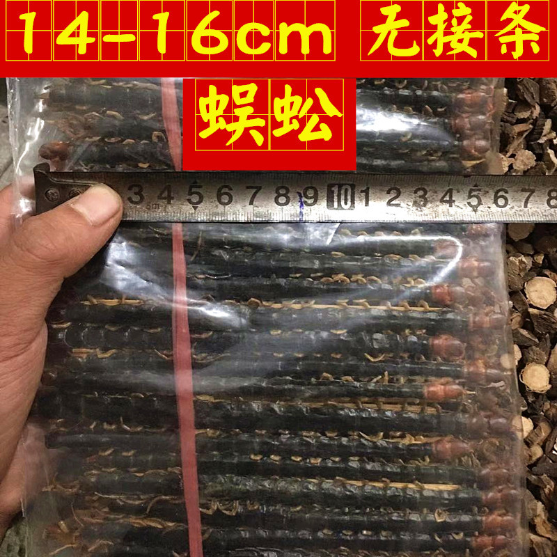 蜈蚣选条14-16cm无接条蜈蚣干