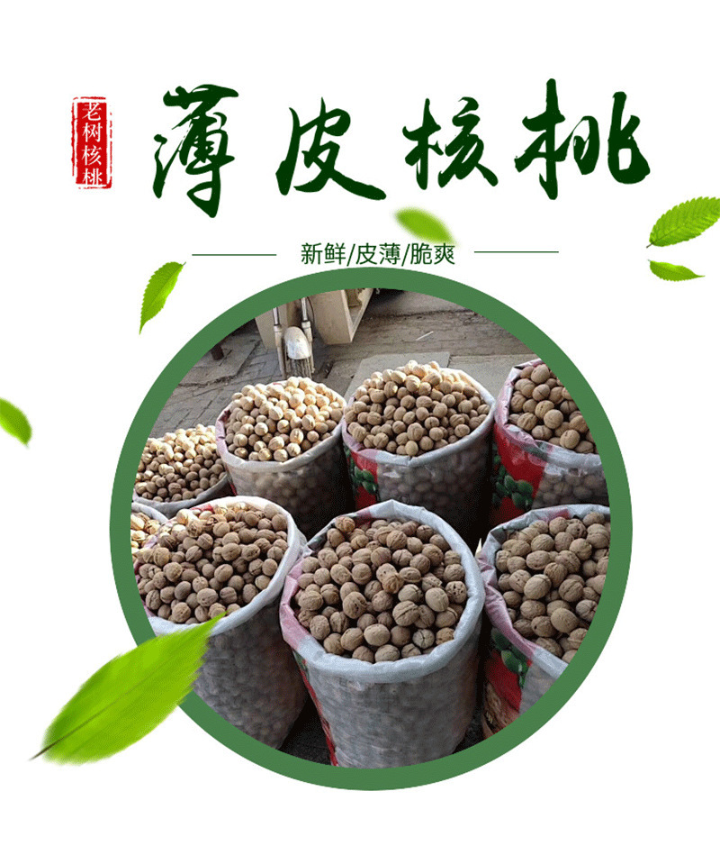 新鲜薄皮核桃1吨新疆薄皮手剥核桃仁坚果零食非纸皮核桃