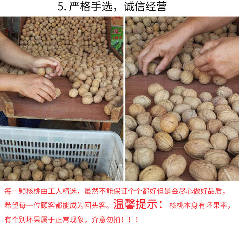 新鲜薄皮核桃1吨新疆薄皮手剥核桃仁坚果零食非纸皮核桃