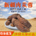肉苁蓉新疆和田大芸新鲜肉苁蓉500g包邮
