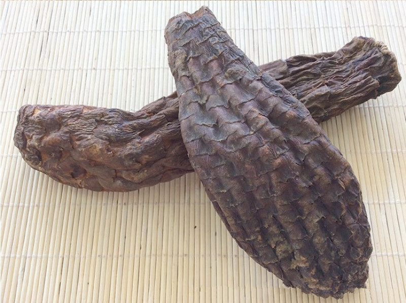 肉苁蓉新疆和田大芸新鲜肉苁蓉500g包邮